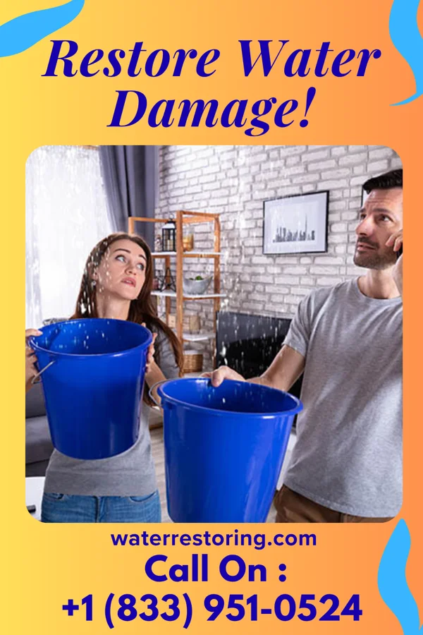 water restoration Quality Sewage Cleanup Brothers Macon